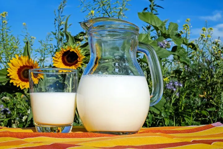 Объем производства молока в Пензенской области сократился на 0,6%