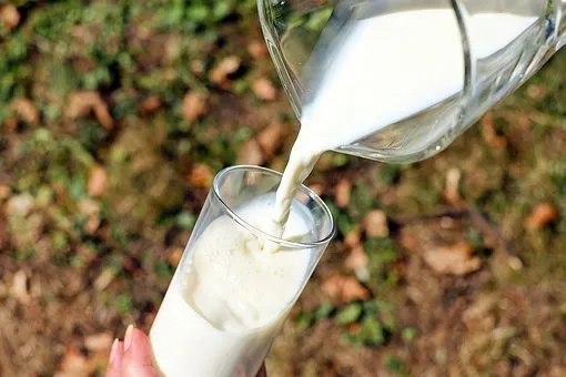 В Пензенской области на 22% вырос валовый надой молока 